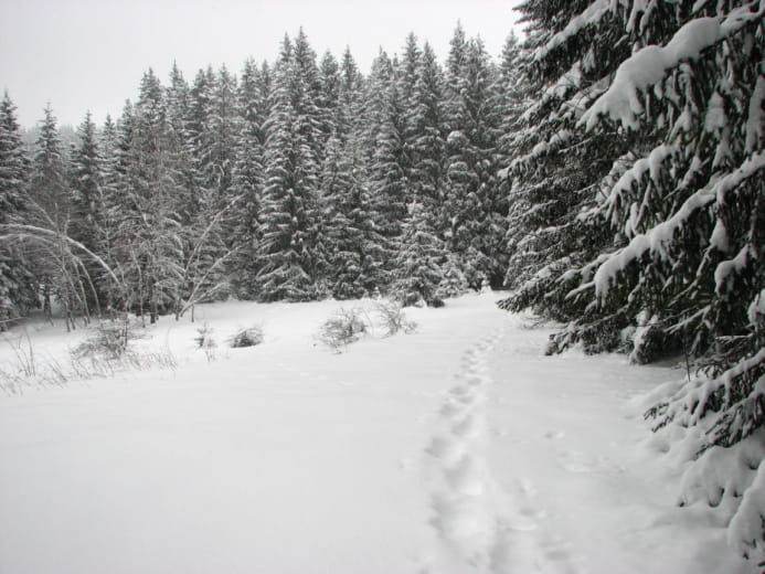 Itinéraire raquettes : Circuit des Mermoz