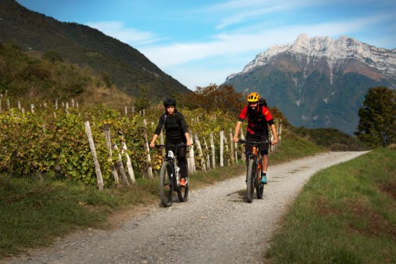 Vino Vélo : Le vélo gourmand avec Saboïa Vélo