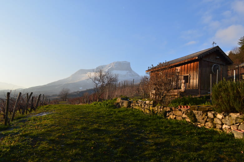 Gîte au cœur des vignes du Domaine Maréchal