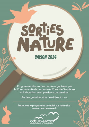 Sortie nature : De la vie dans la mare !