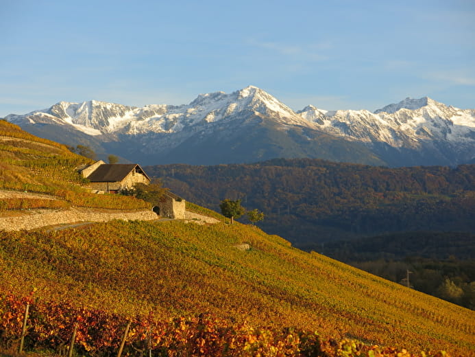 Alpes Flaveurs  - Bernard Vissoud