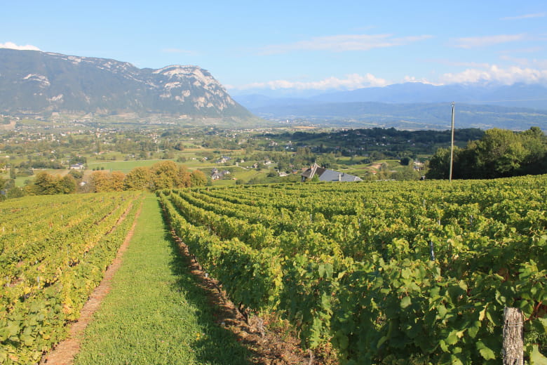 Domaine Dupraz