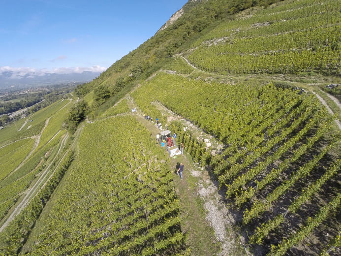 Combe des Grand vignes