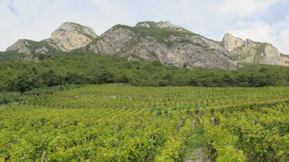 Domaine La Combe des Grand'Vignes