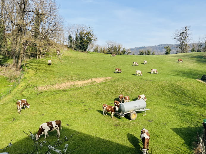 Le lodge du Pichat