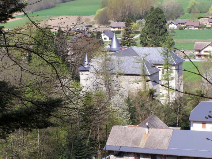 LE CHATEAU DE CHAMOUX.