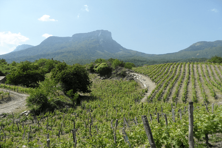 Domaine des Anges - GAEC Caillet