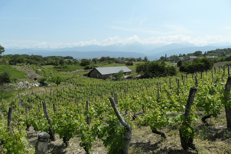 Domaine des Anges - GAEC Caillet