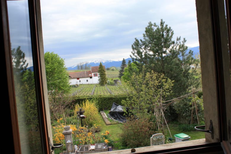 vue de la chambre sur les vignes et la chaine  de belledonne


