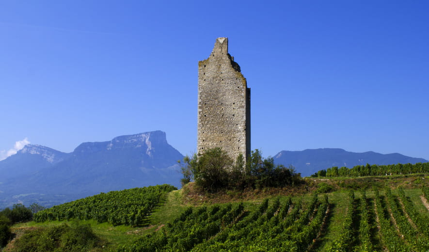 Boucle des Vignobles entre Chartreuse et Bauges